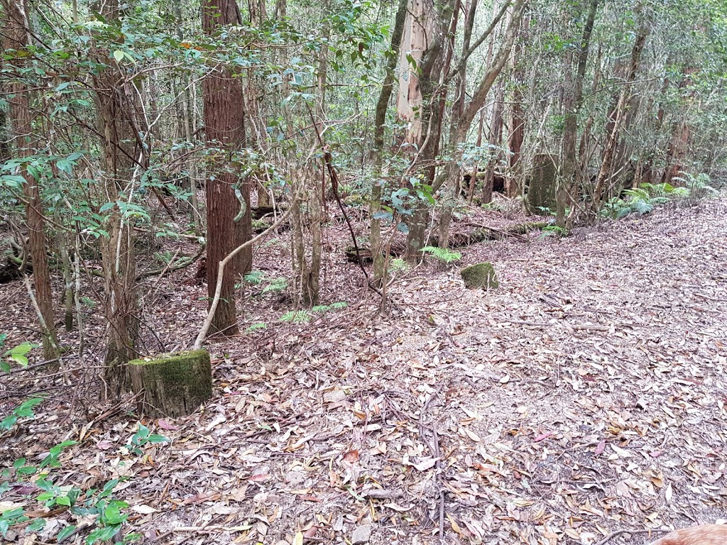 Ghin-Doo-Ee National Park