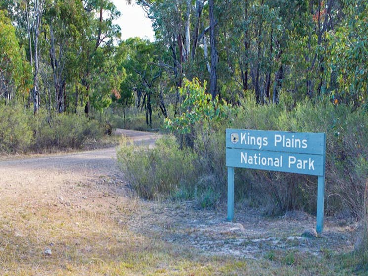 Kings Plains National Park