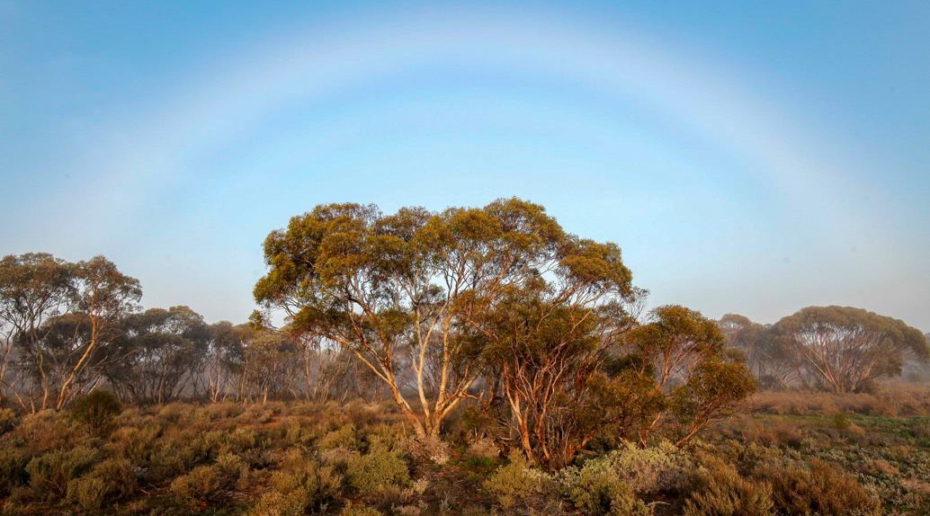 Mallee Cliffs National Park