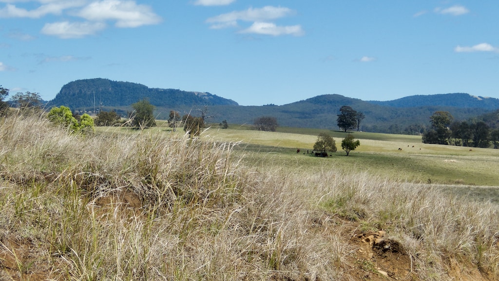 Mount Clunie National Park