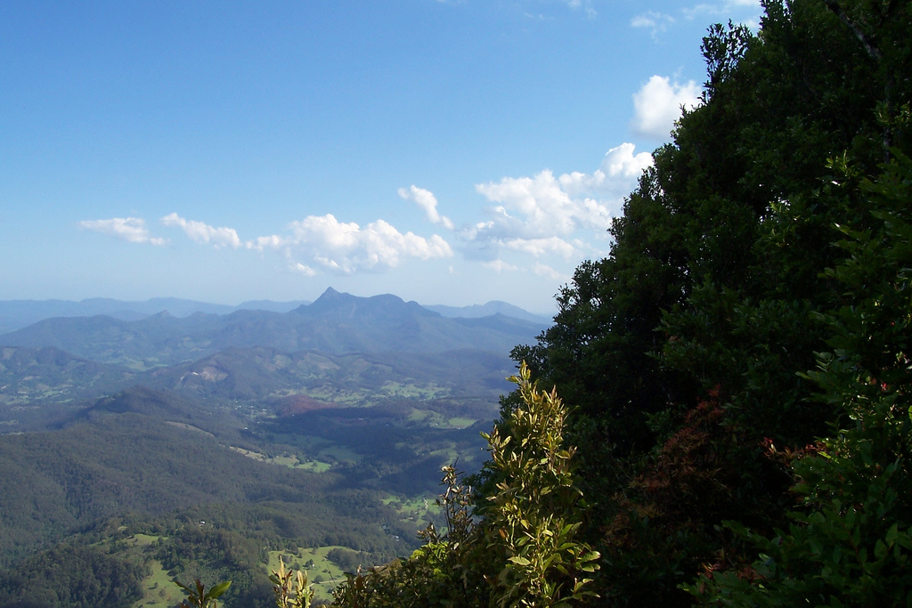 Mount Warning National Park