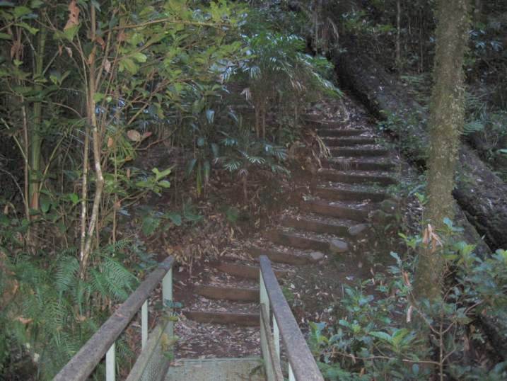 Richmond Range National Park