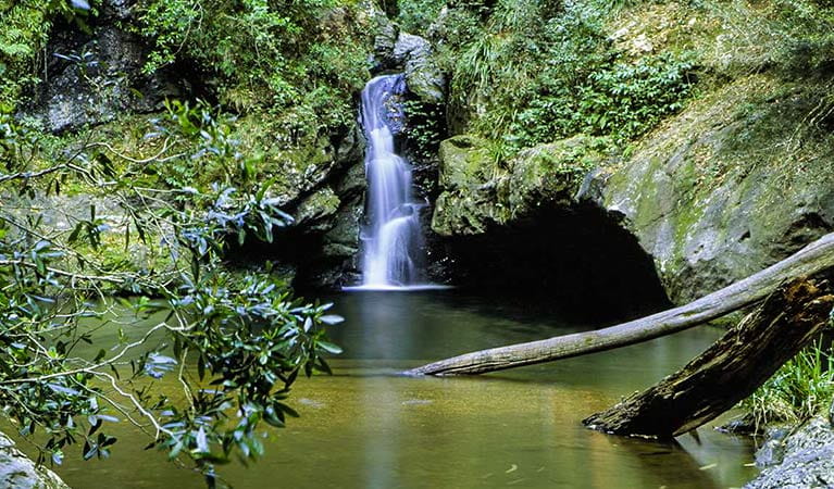 Tapin Tops National Park