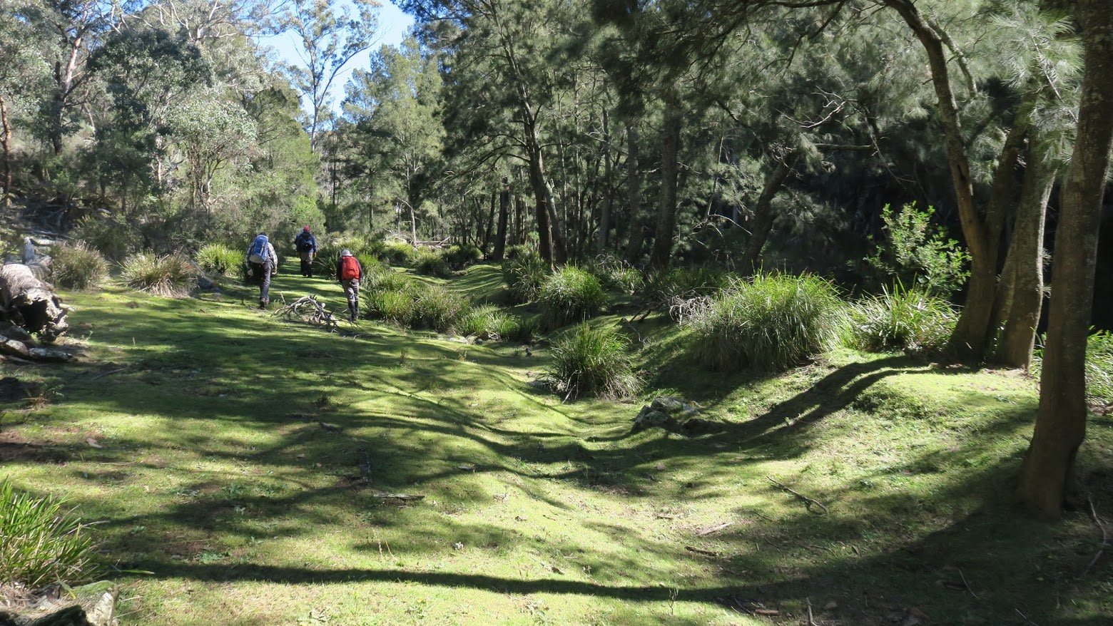 Tarlo River National Park