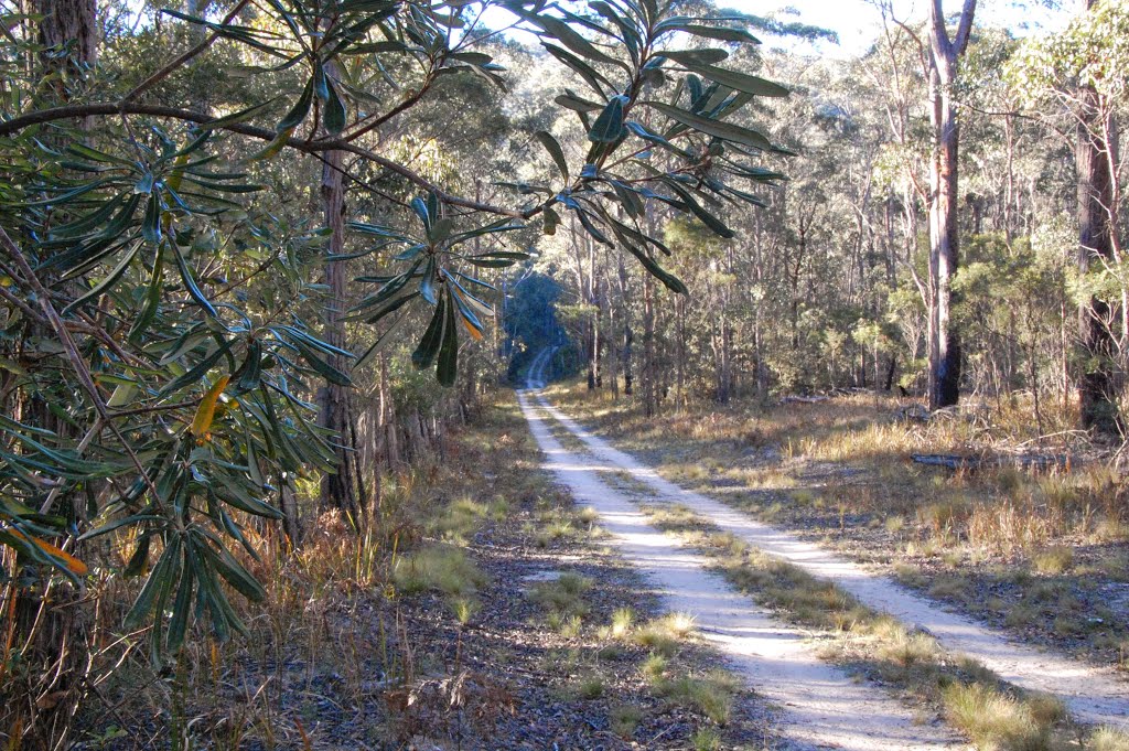 Warra National Park