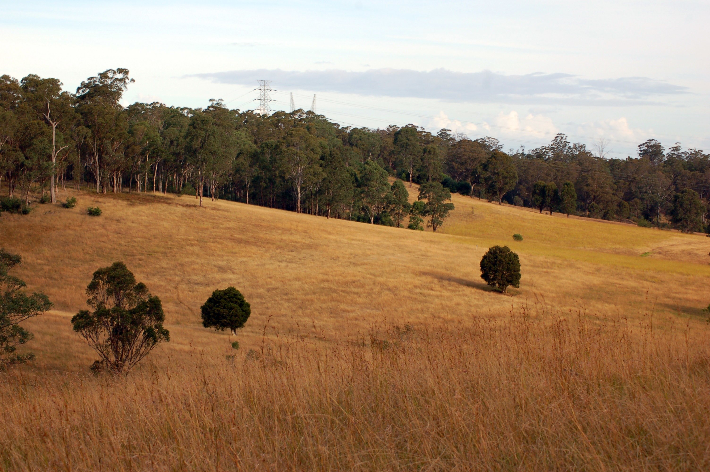 Western Sydney Parklands