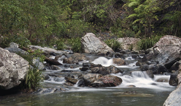 Bindarri State Conservation Area