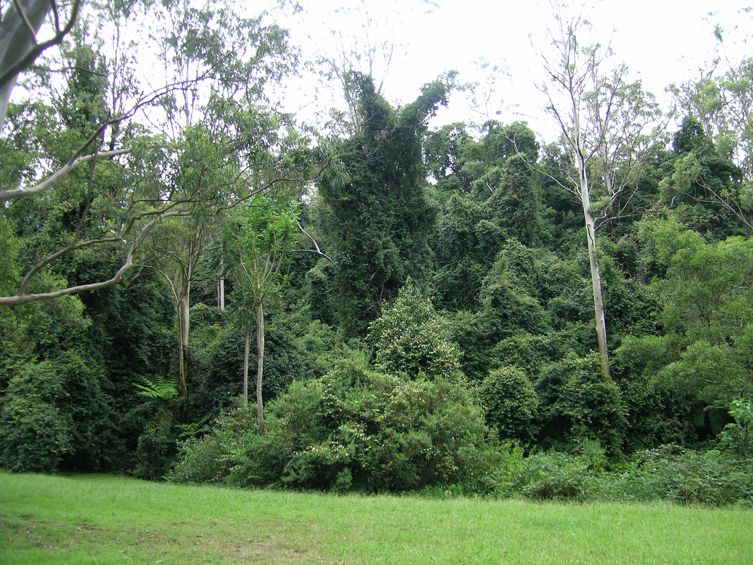 Cottan-Bimbang State Conservation Area
