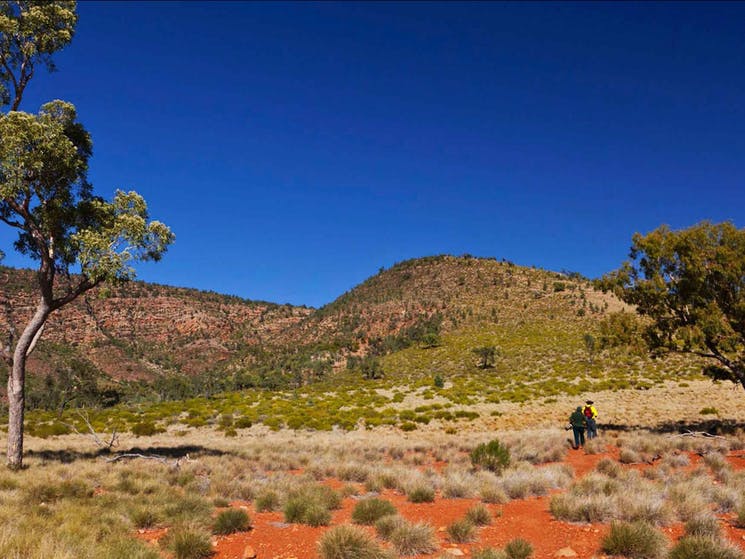 Gundabooka State Conservation Area