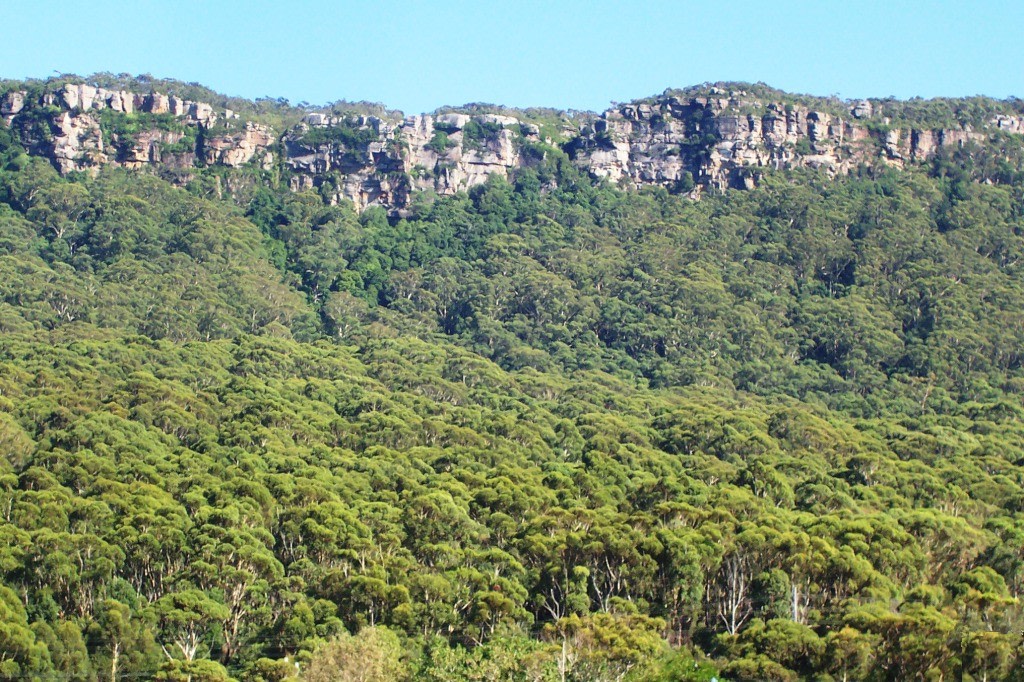 Illawarra Escarpment State Conservation Area