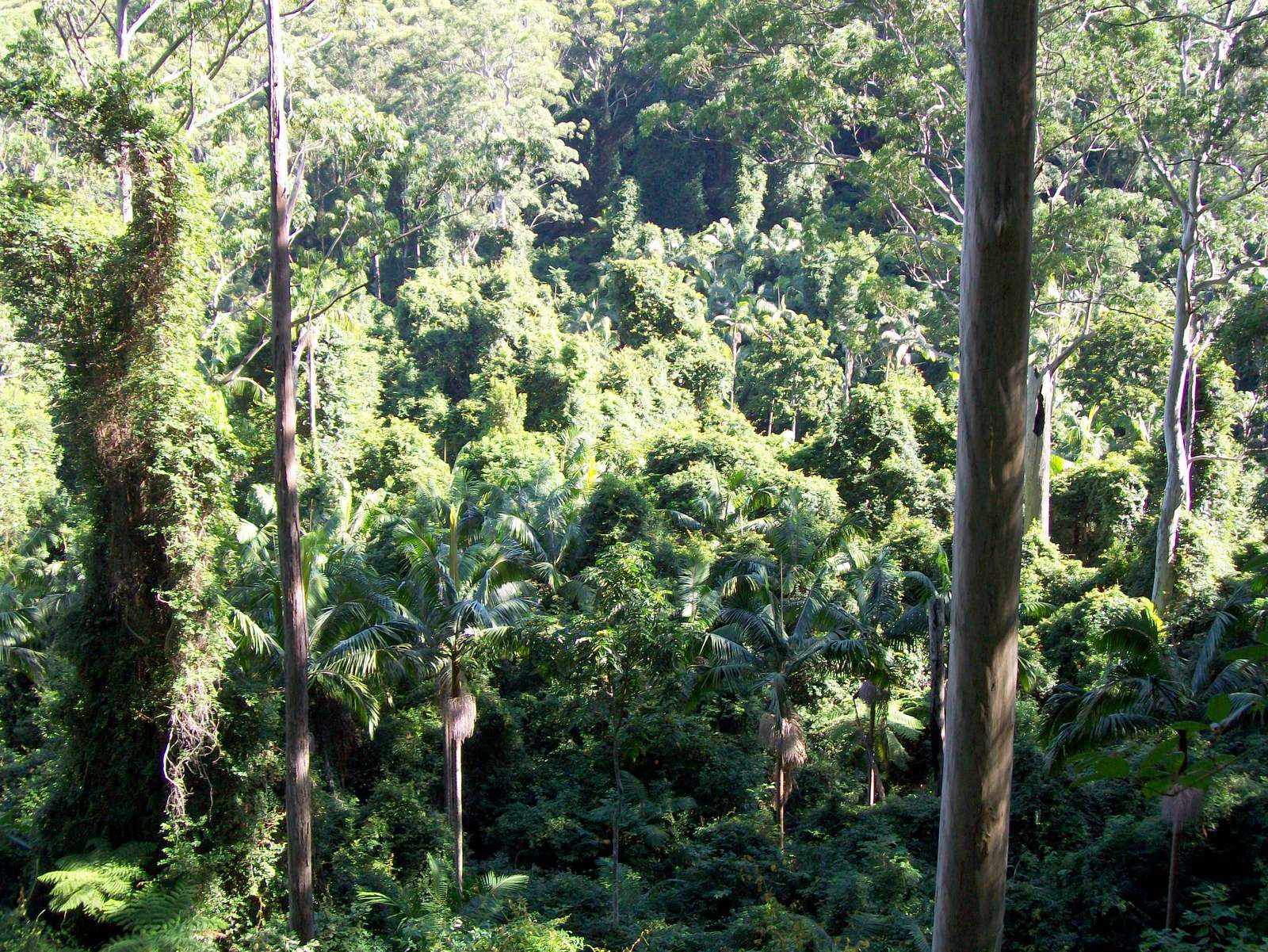 Jilliby State Conservation Area