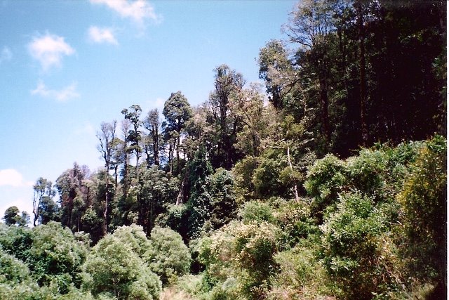 Mount Hyland State Conservation Area