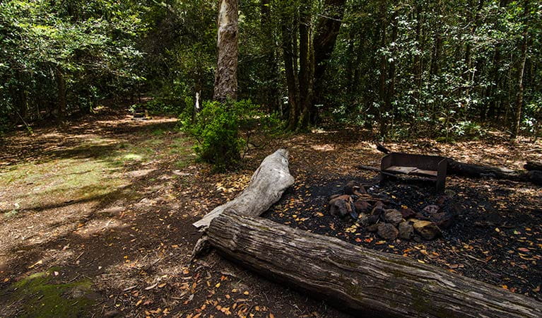 Wombat Creek State Conservation Area