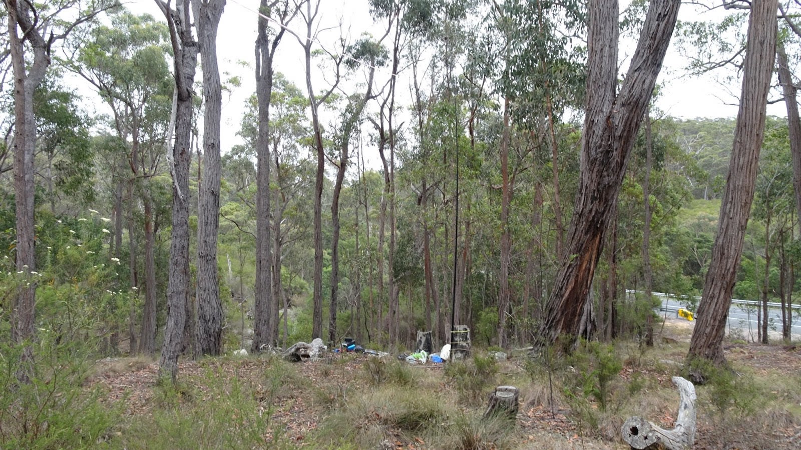 Yurammie State Conservation Area