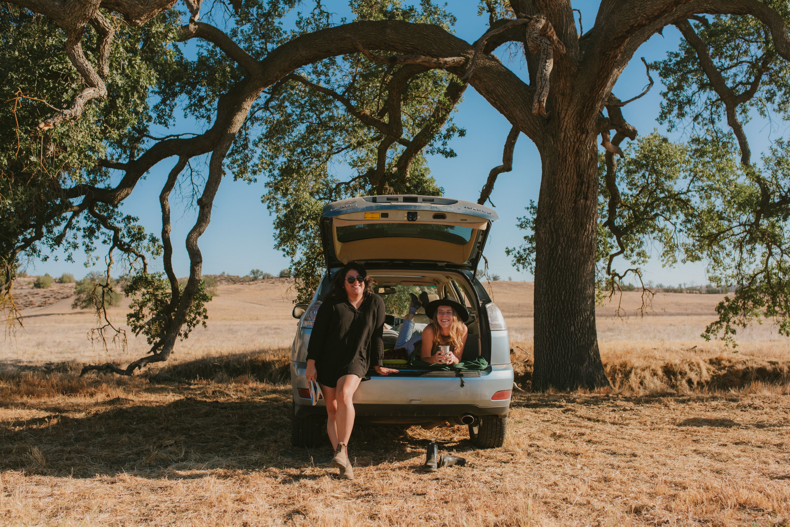 Hangin out under the beautiful oak tree. 