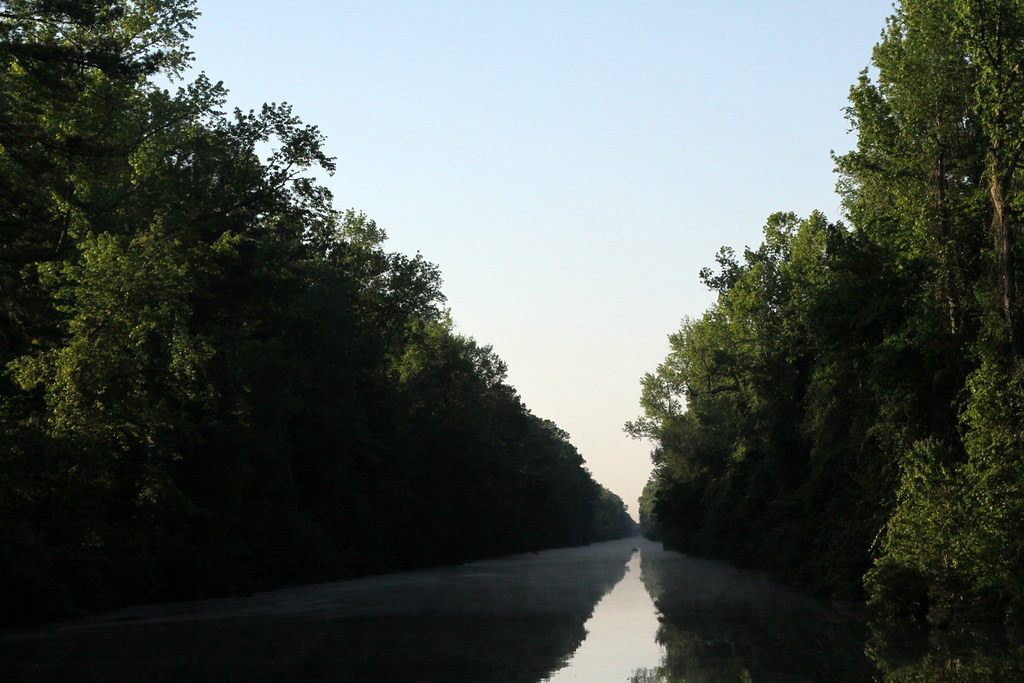 Dismal Swamp State Park
