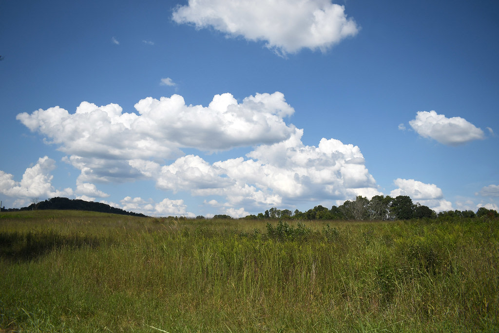 Seven Islands State Birding Park