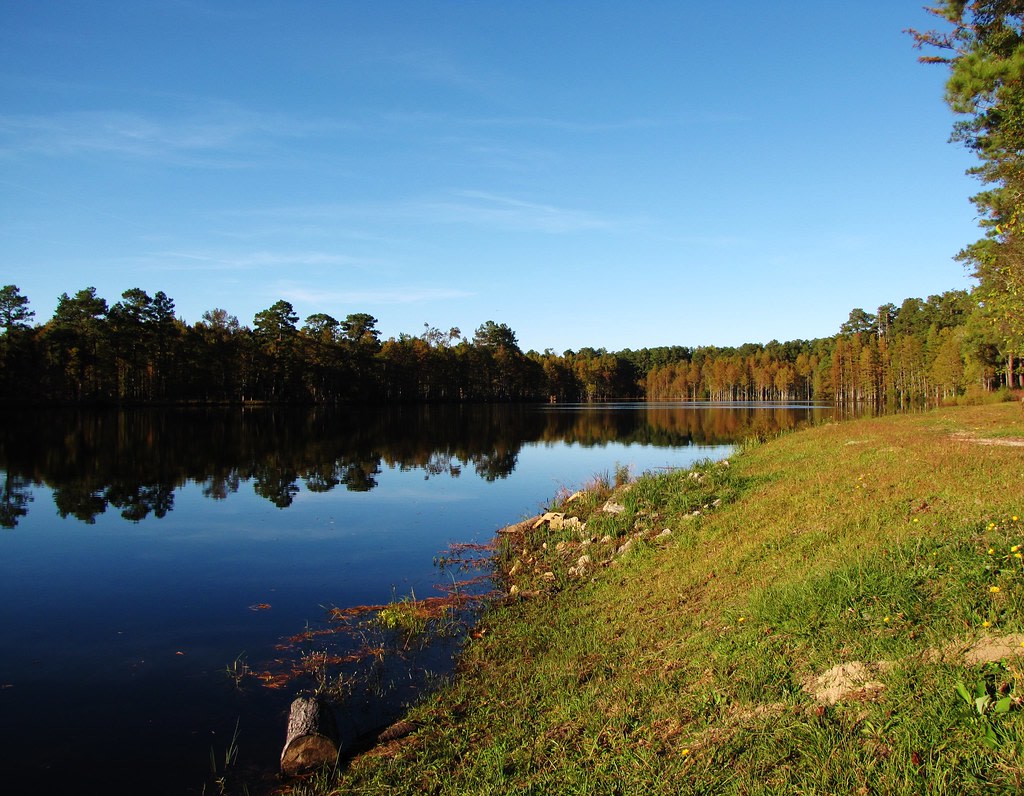 Carvers Creek State Park