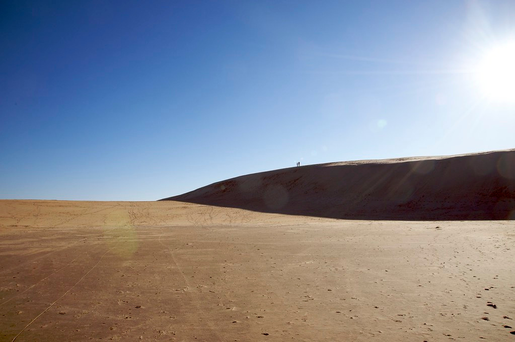 Jockey's Ridge State Park