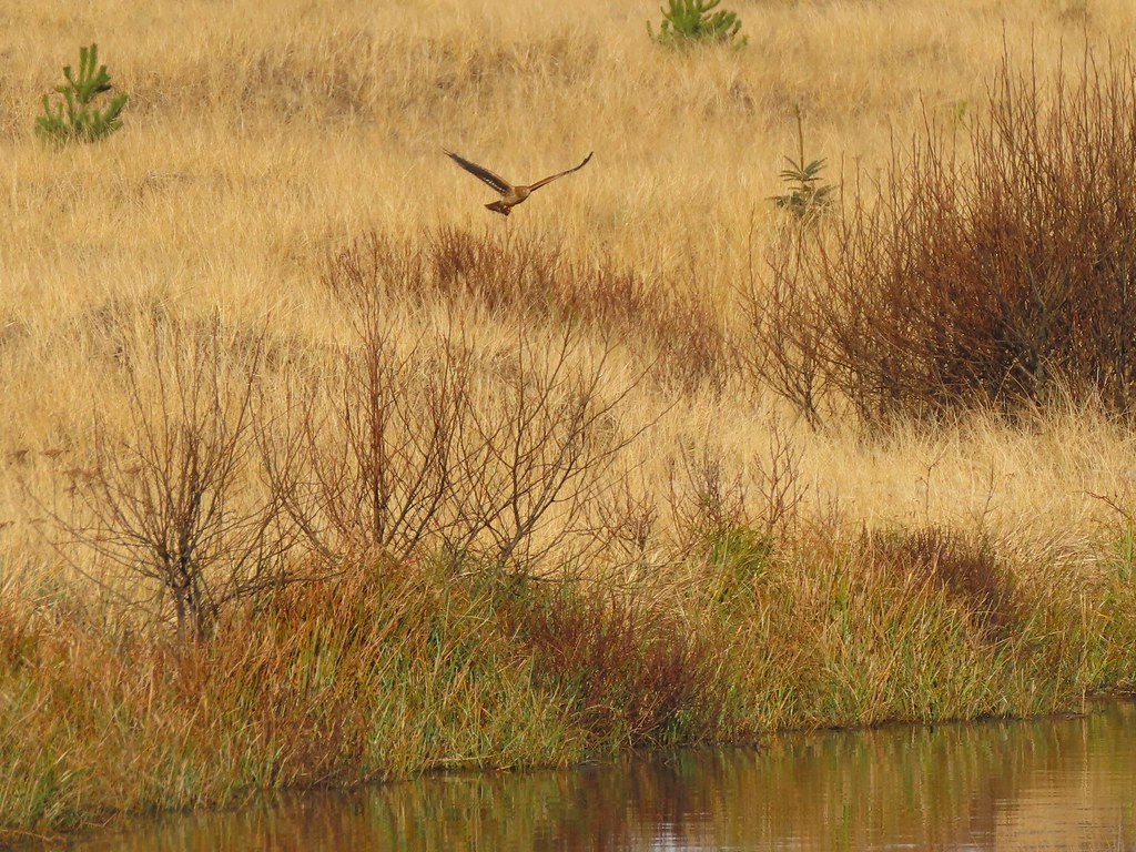 Griffiths-Priday State Park