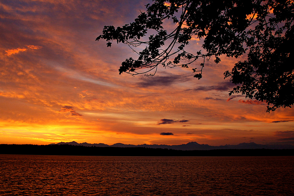 Kopachuck State Park