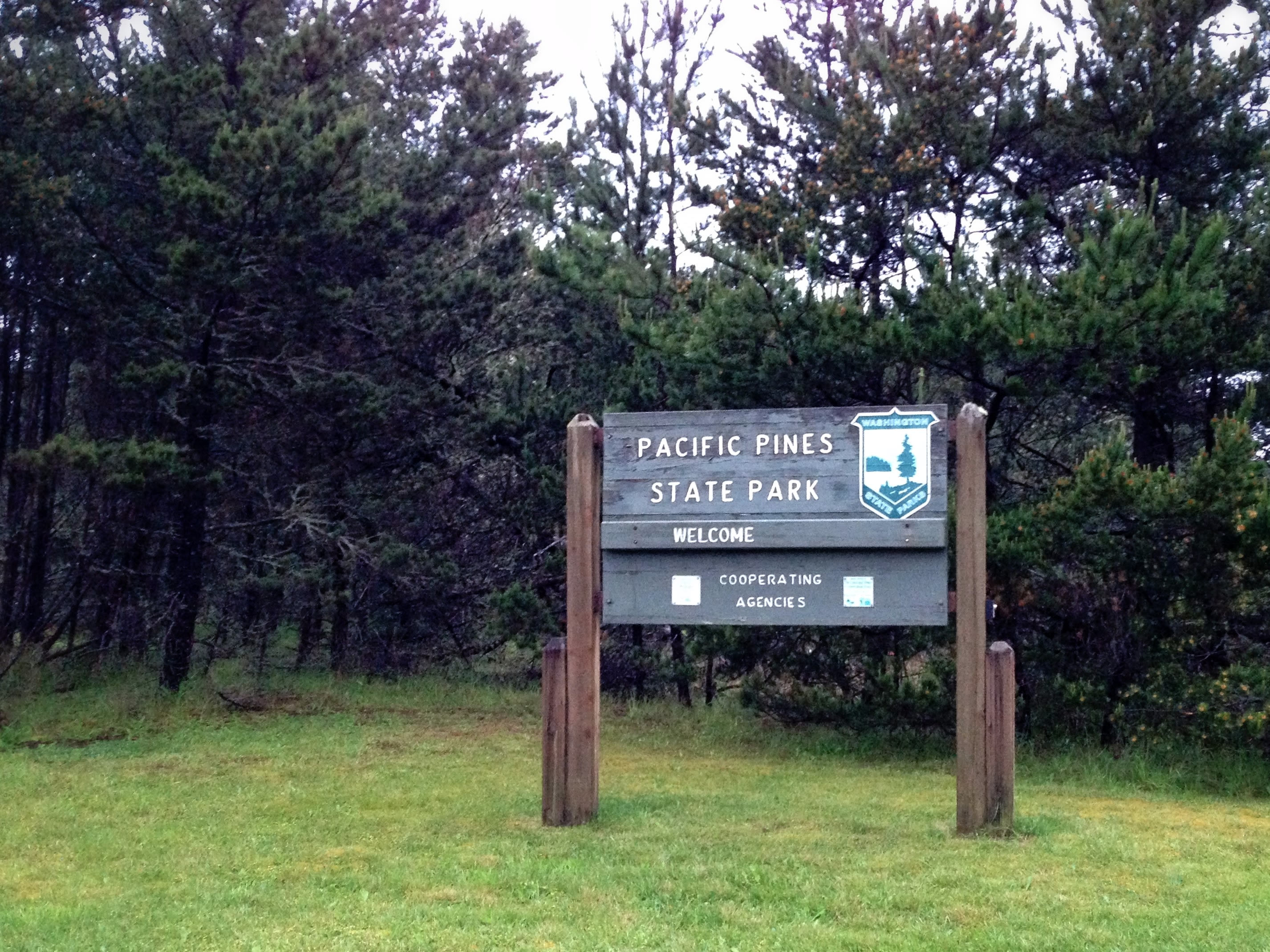 Pacific Pines State Park
