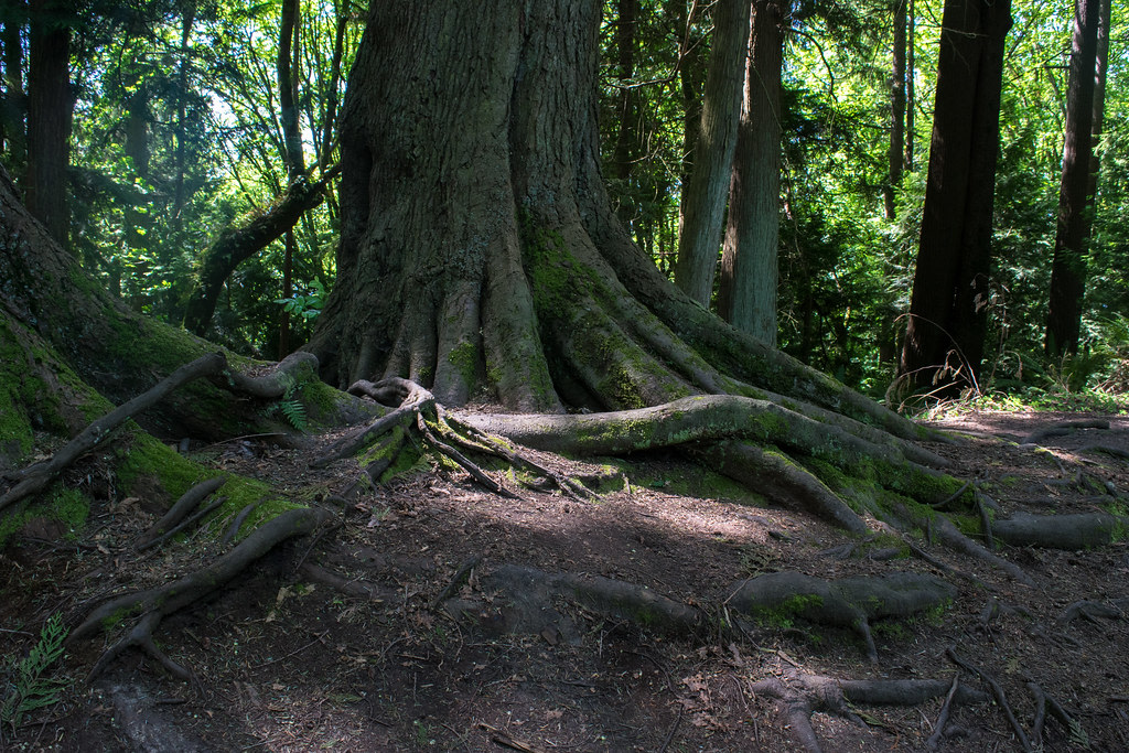 Saint Edward State Park