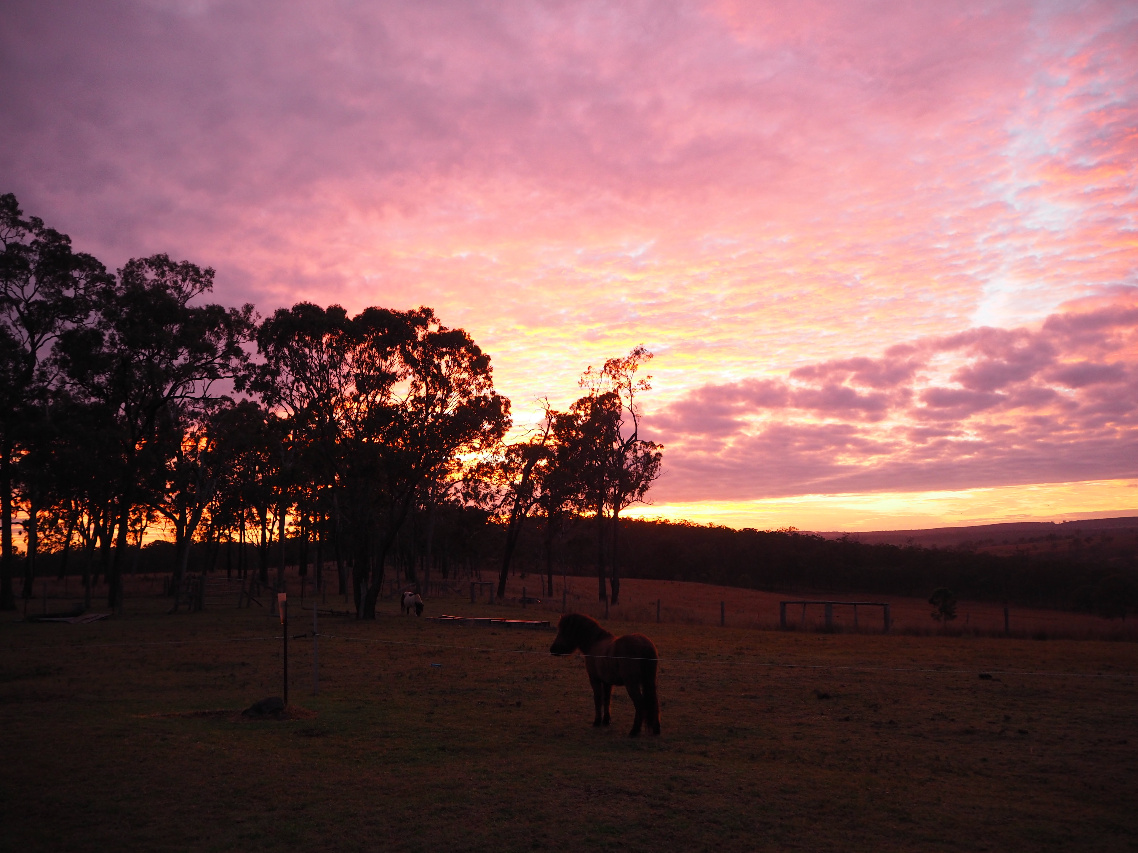 Tinara, 200 acre cattle farm 