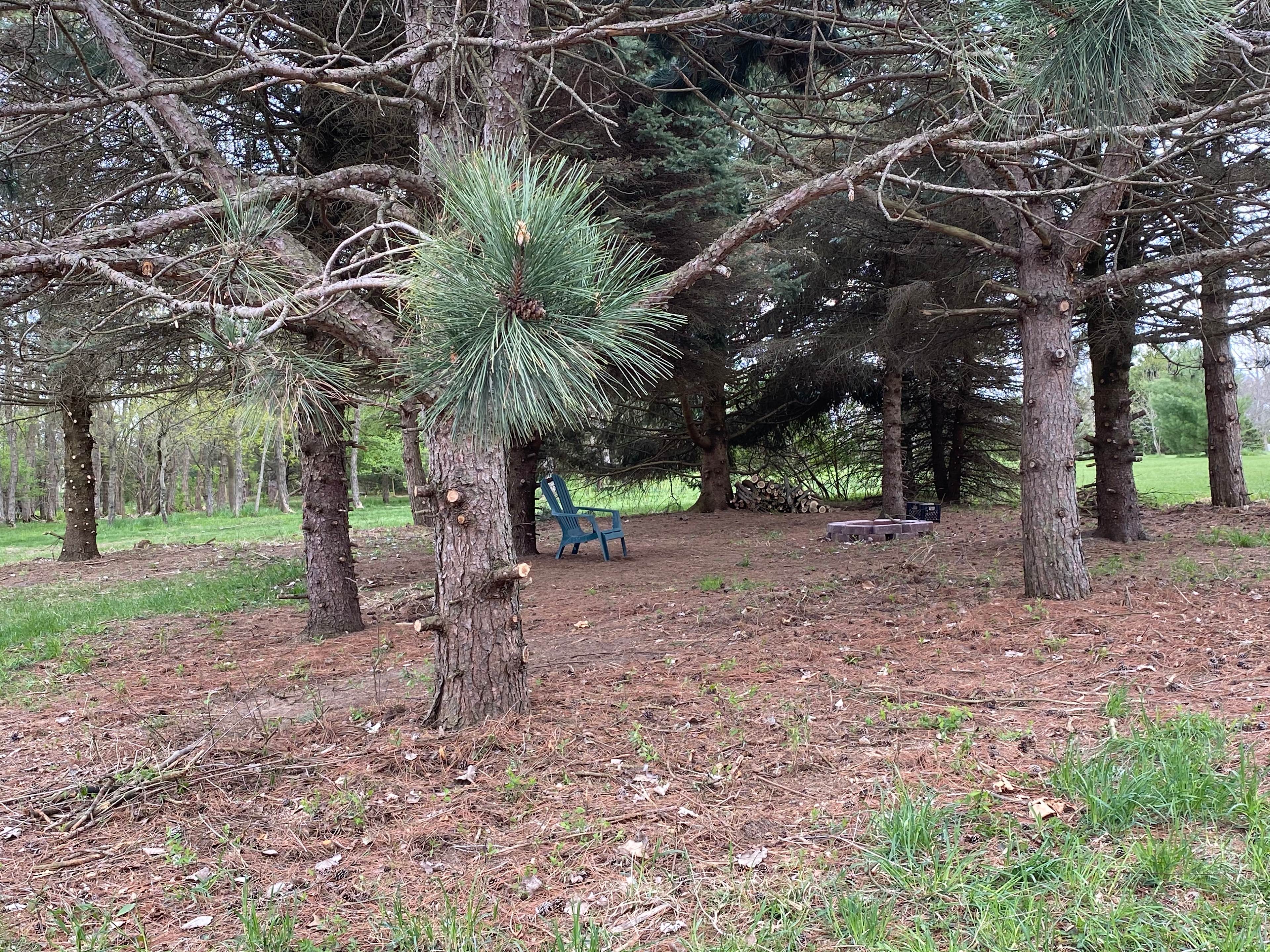 Gun Smoke Ranch