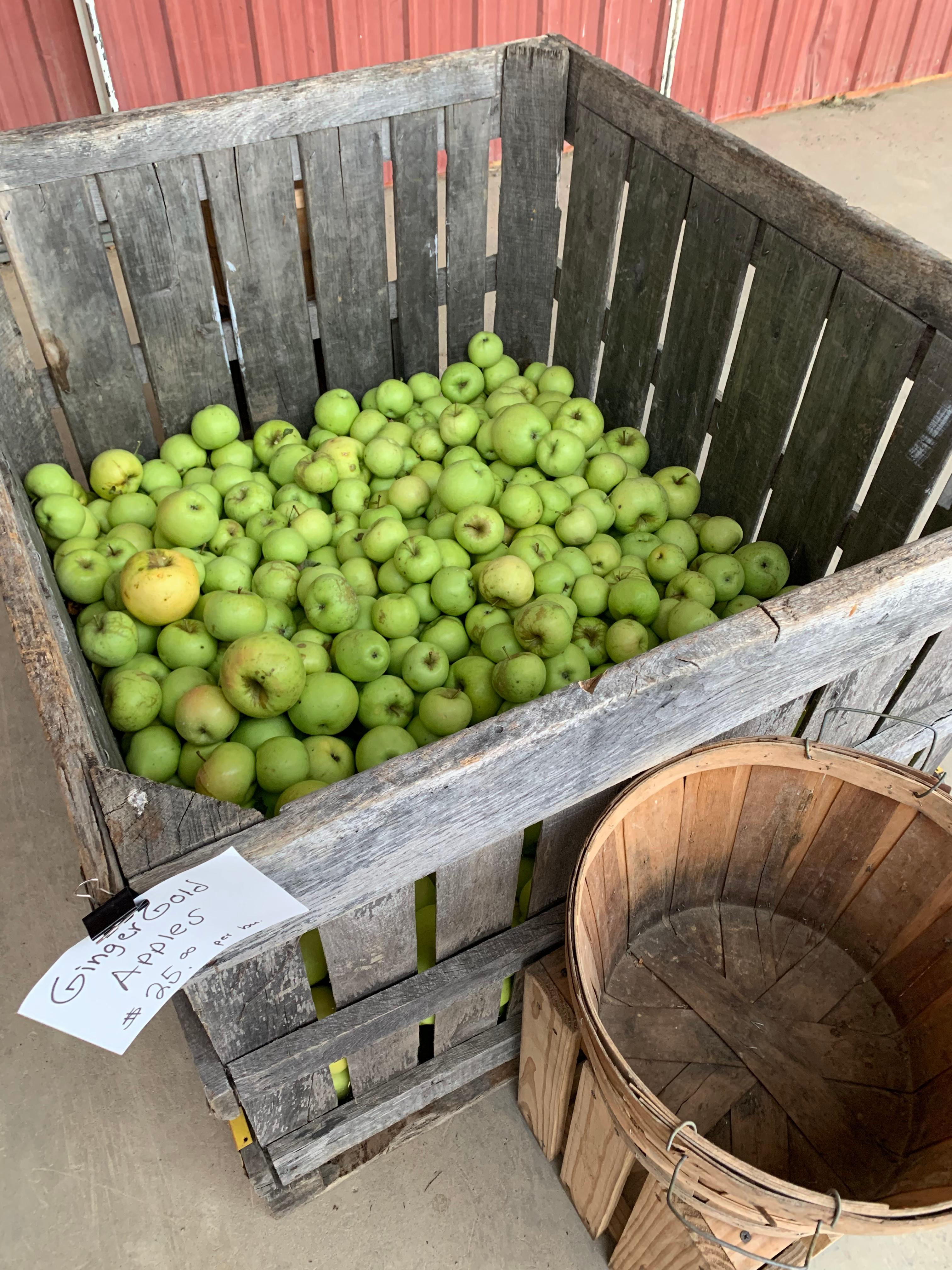 Ryan's Fruit Market and Orchard