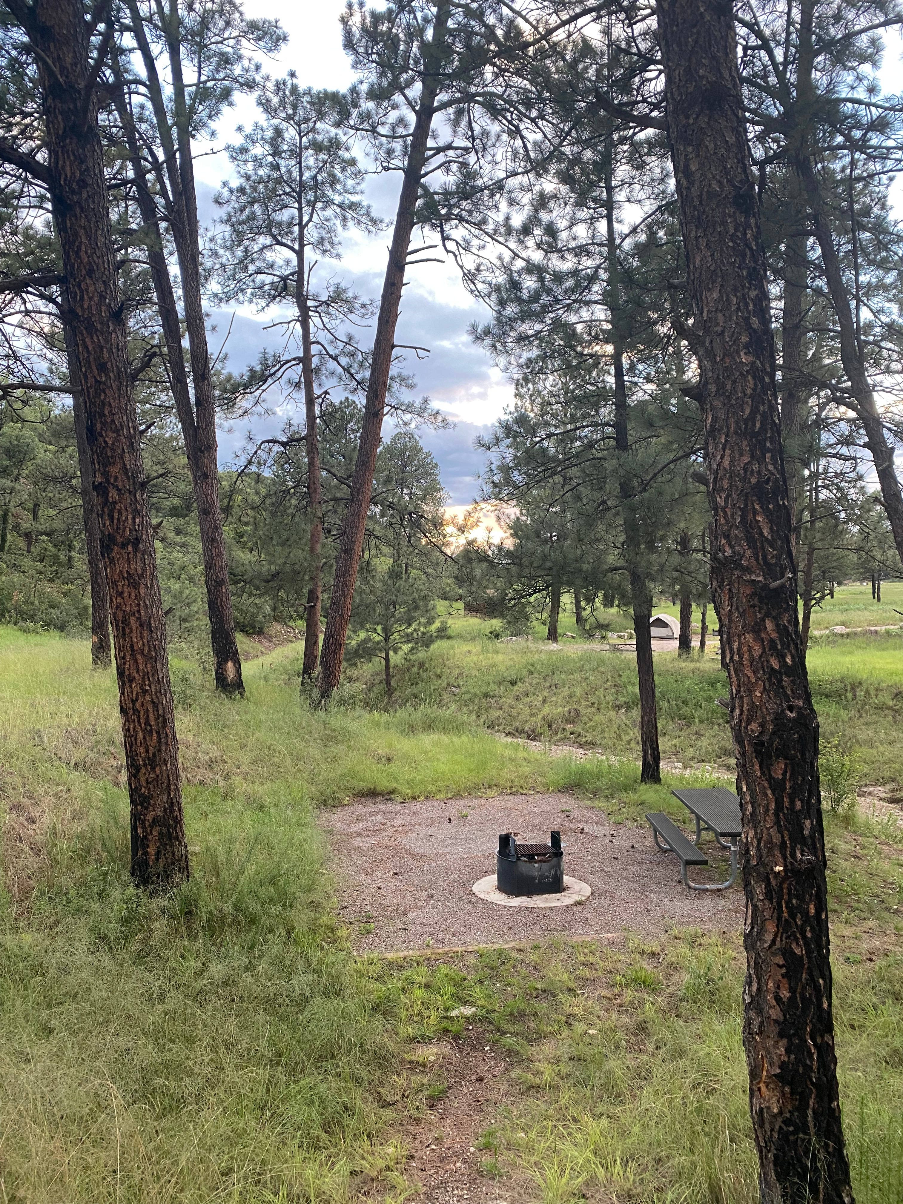 Campsite which is bare