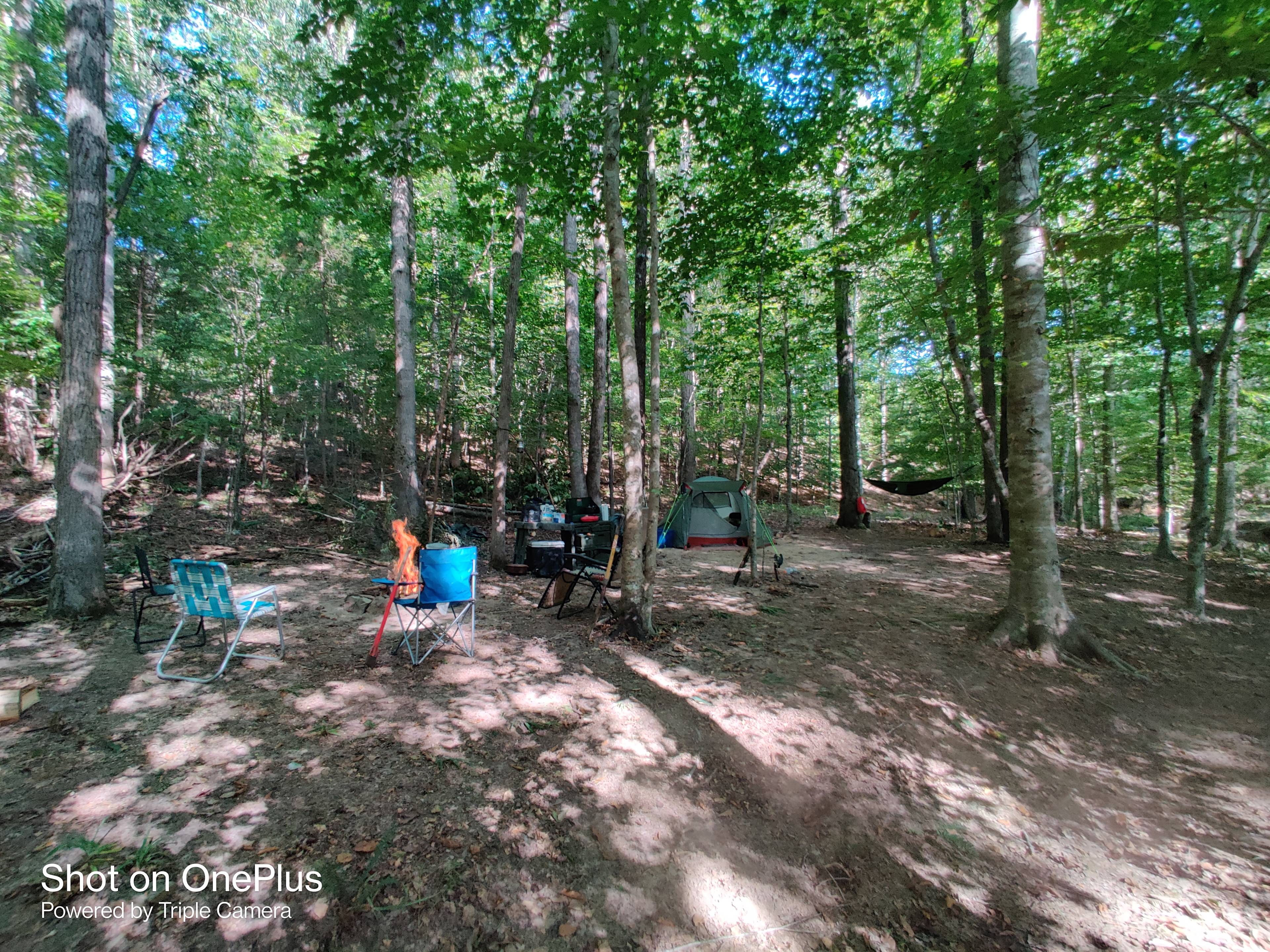 Little Creek Campsite