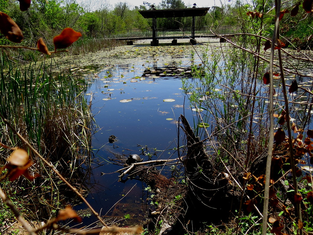 Sheldon Lake State Park