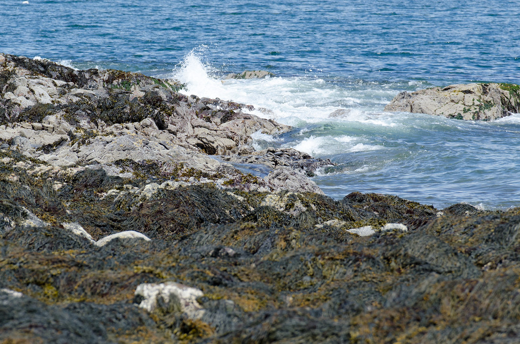 Owls Head State Park