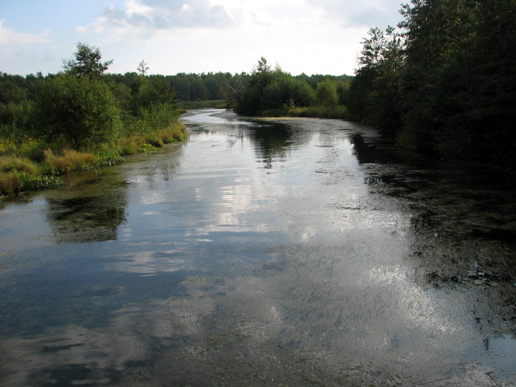 Buckhorn Island State Park