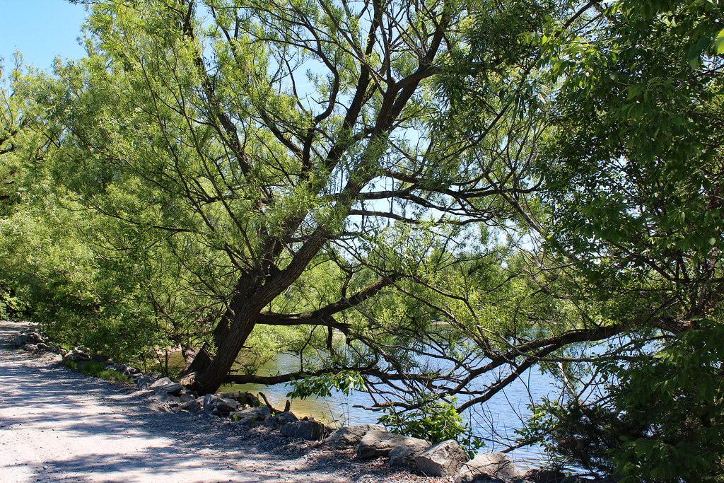 Point Au Roche State Park