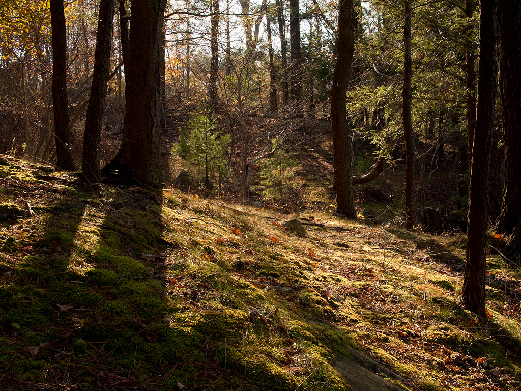 Sterling Forest State Park
