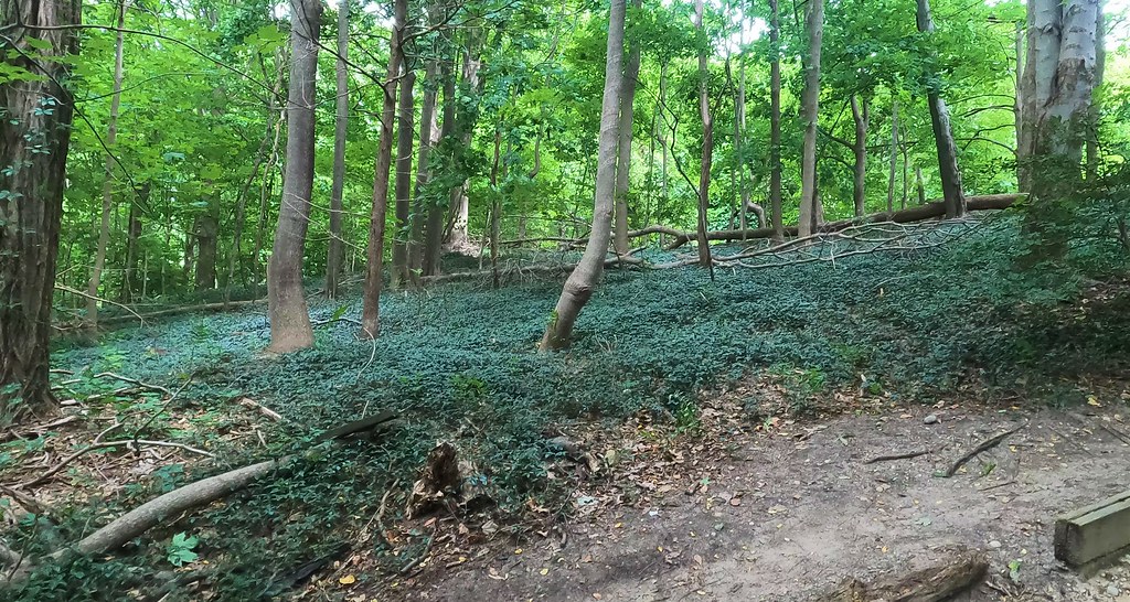 Cold Spring Harbor State Park