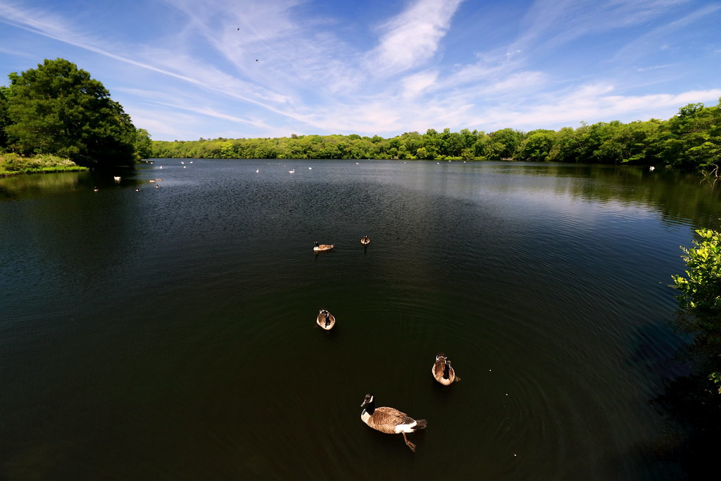 Connetquot River State Park Preserve
