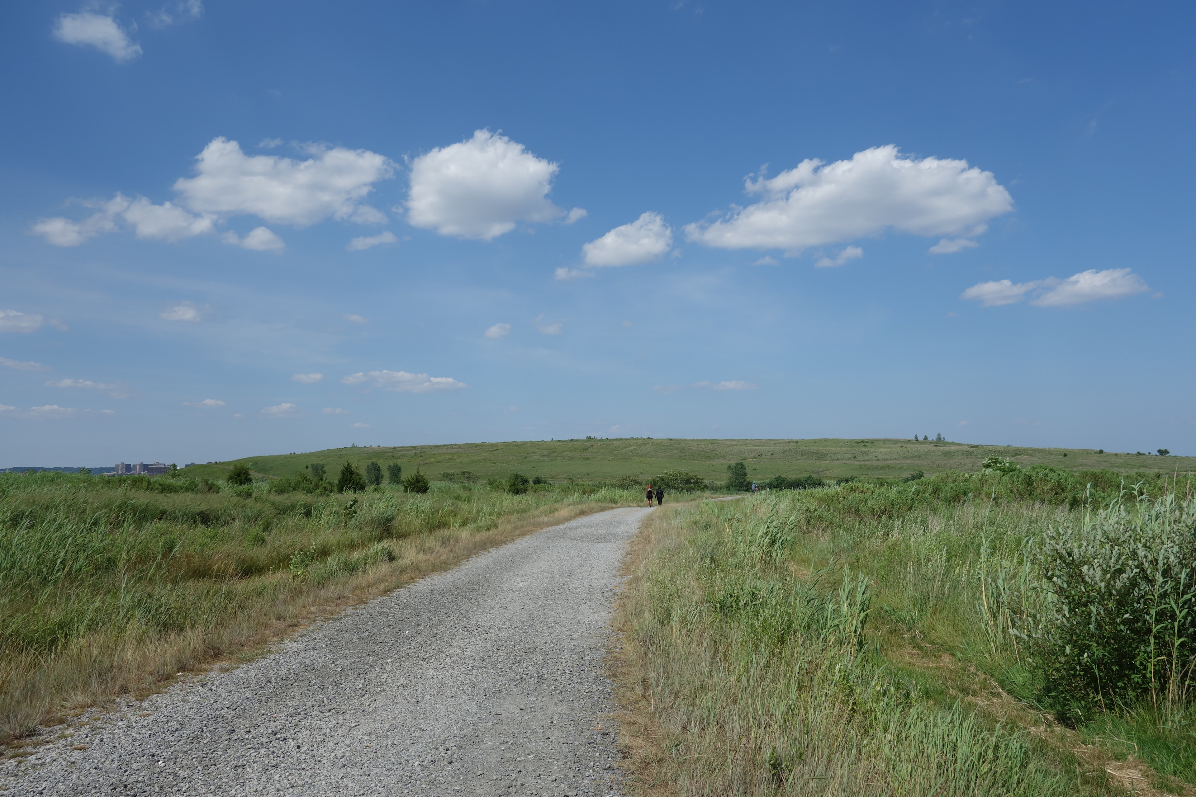Shirley Chisholm State Park
