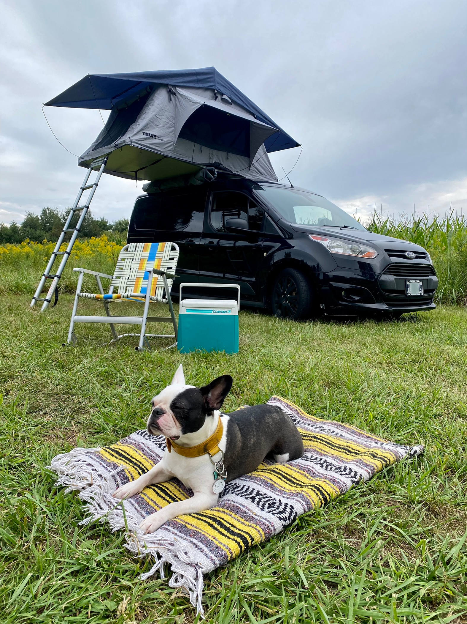 Stickley Family Farms