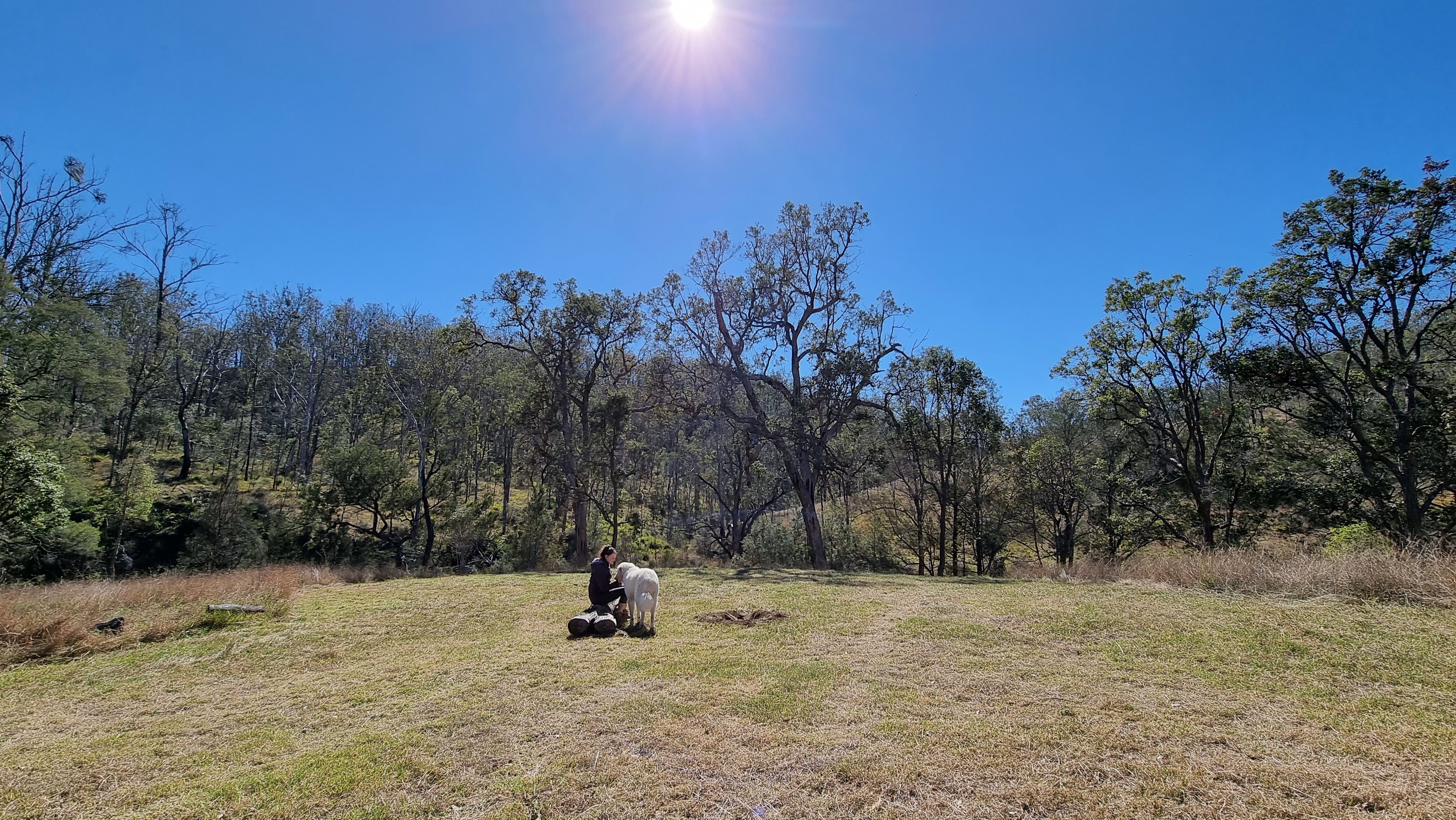 Two creeks camp. Great little camp in the loop of a seasonal creekbed.