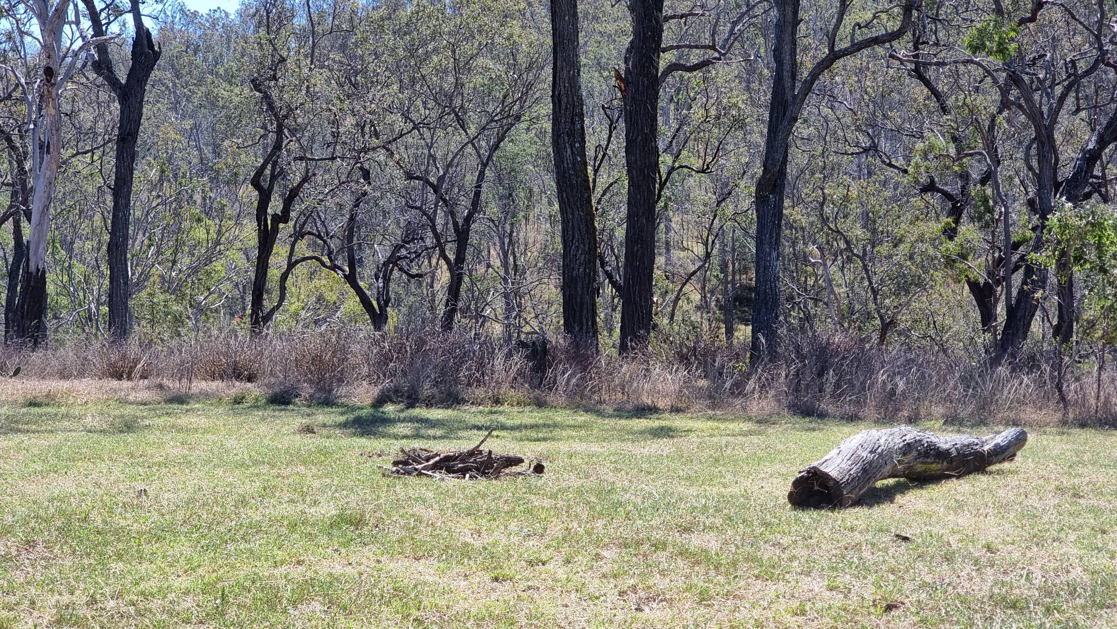 Hill camp. Big enough for a bus with good access.