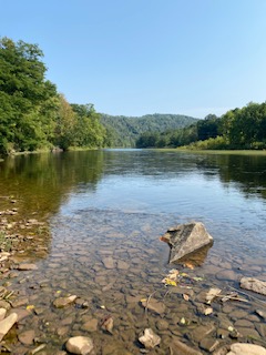 Cheat River View