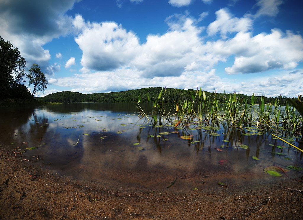Arrow Lake Provincial Park