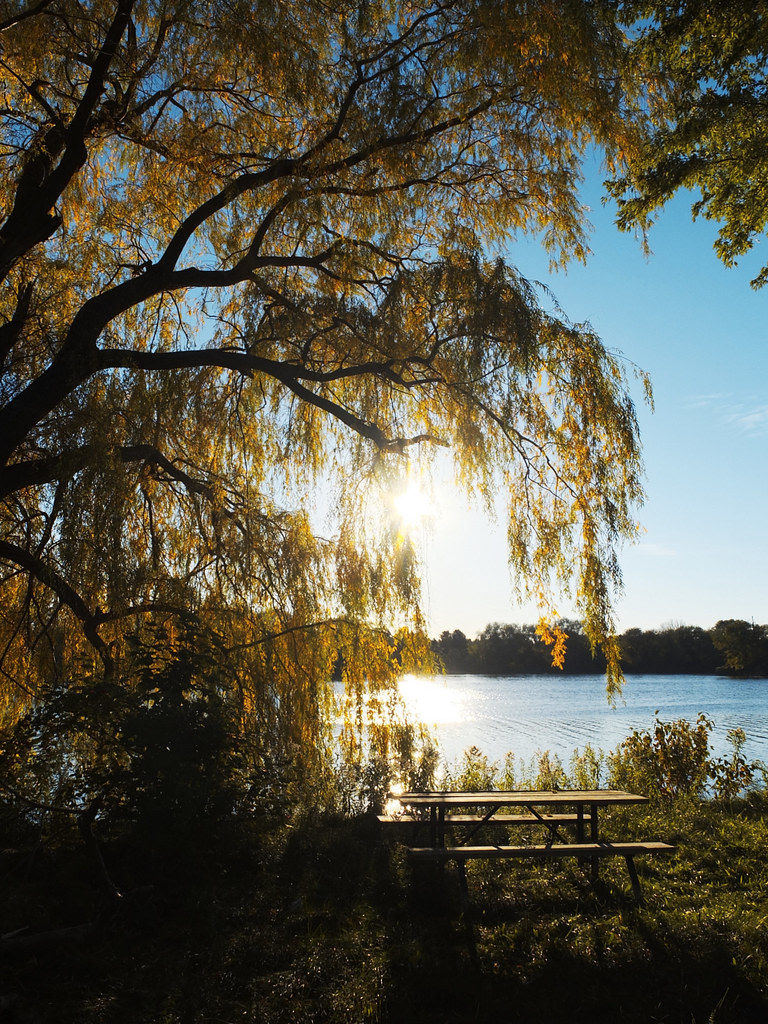 Earl Rowe Provincial Park