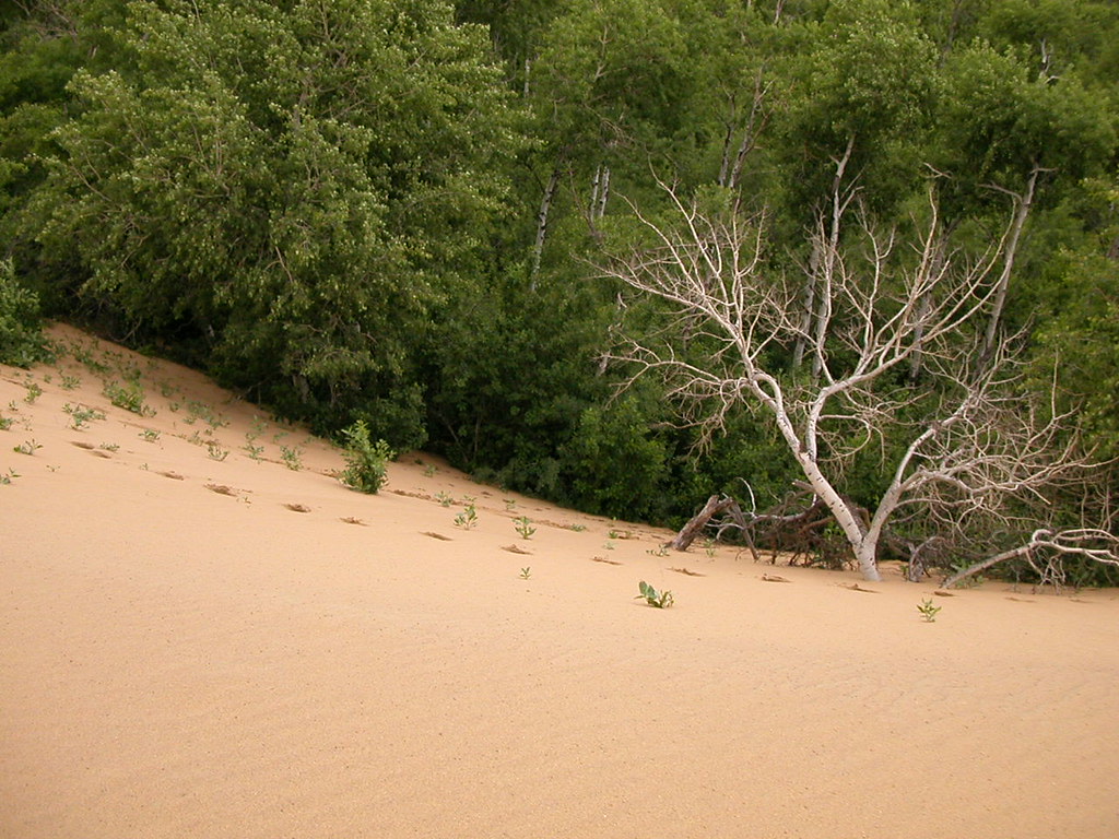 Douglas Provincial Park