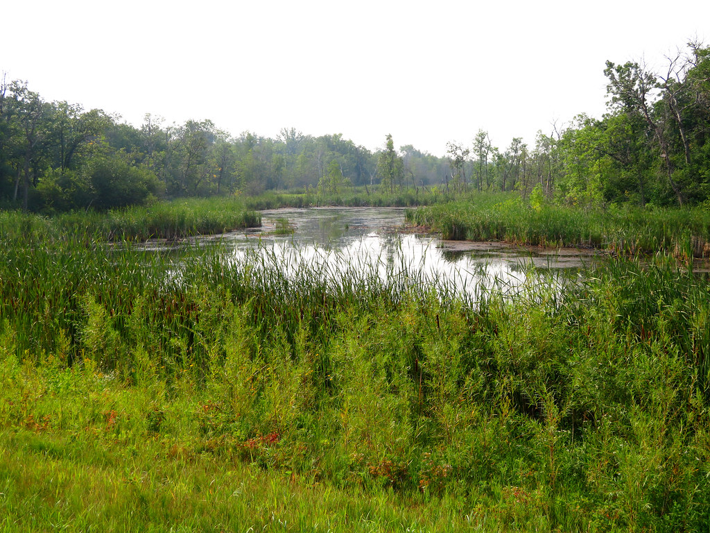 Turtle Mountain Provincial Park