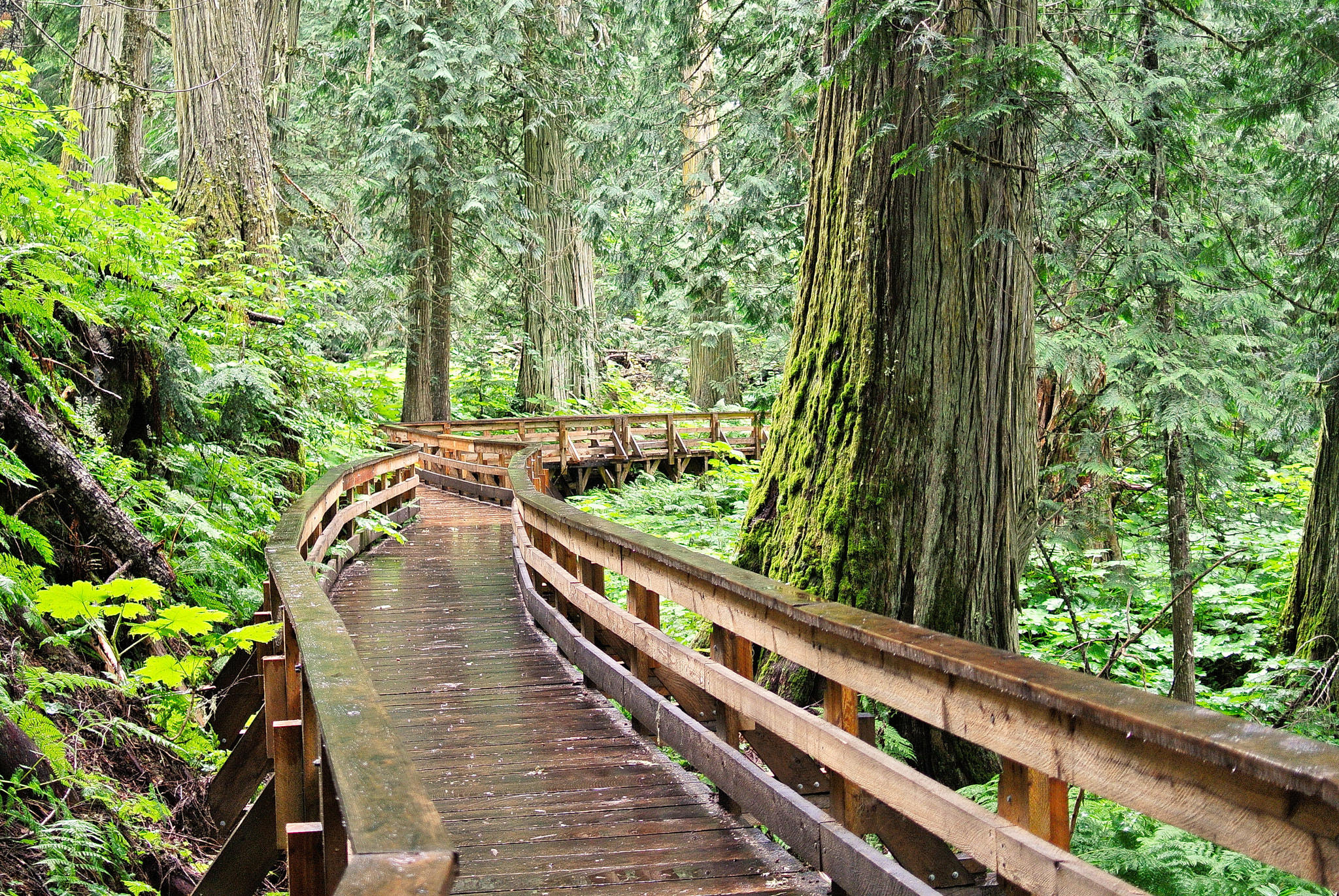 Chun T'oh Whudujut Provincial Park