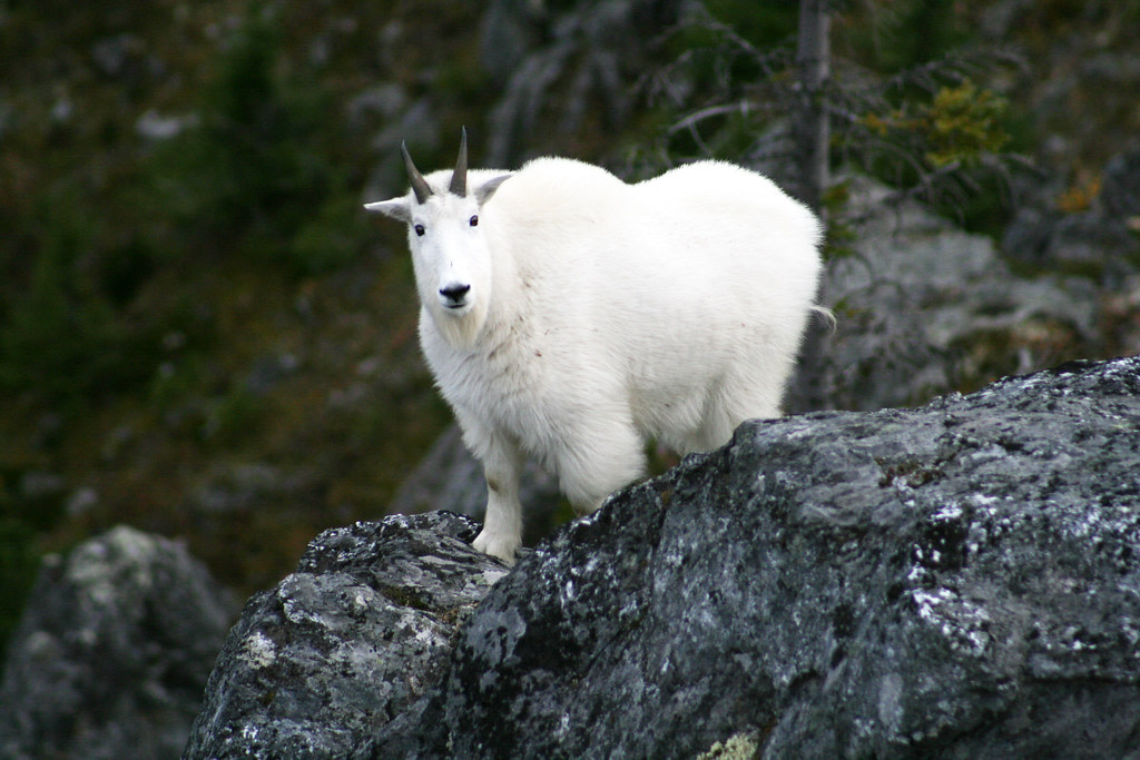 Babine Mountains Provincial Park